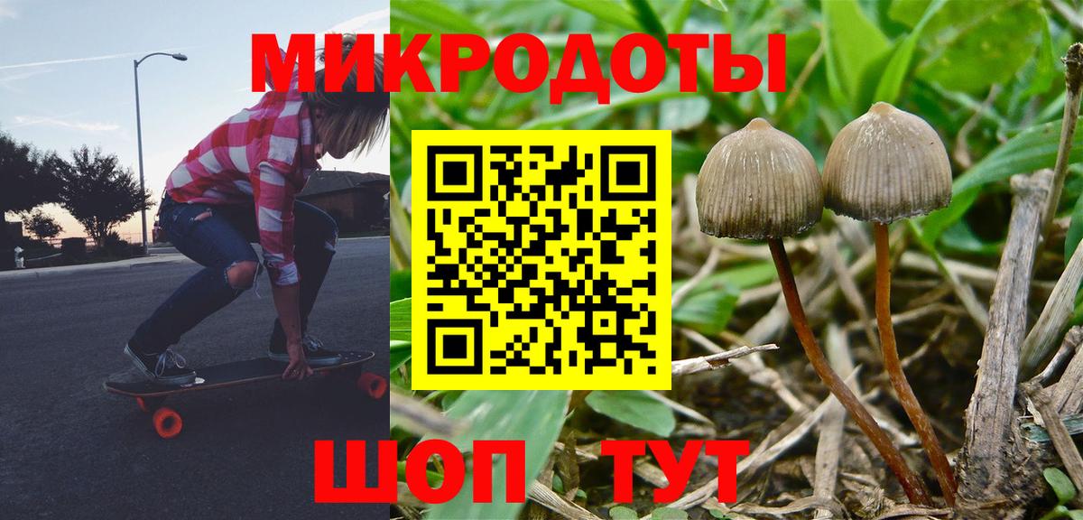 Псилоцибиновые грибы Magic Shrooms Ачхой-Мартан