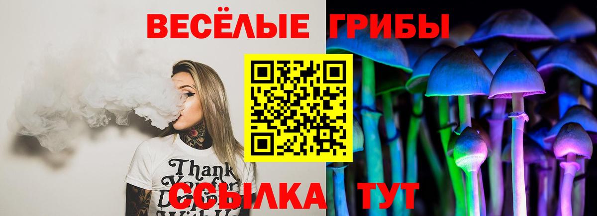 Псилоцибиновые грибы мухоморы  Вход с VPN  Ачхой-Мартан 